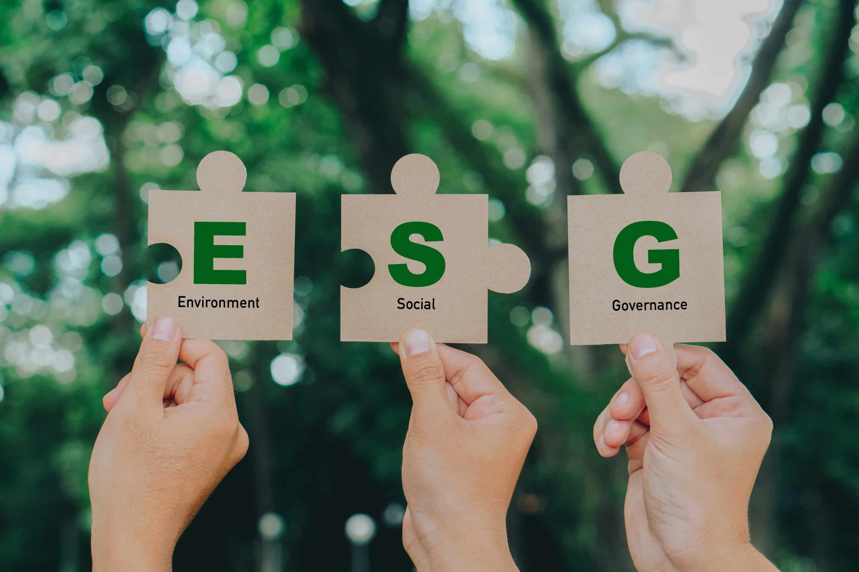 Hand holding Jigsaw with ESG icon concept.ESG icon for environmental, social, and governance in sustainable and ethical business on a green background.Teamwork,renewable,responsibility concept taskid2